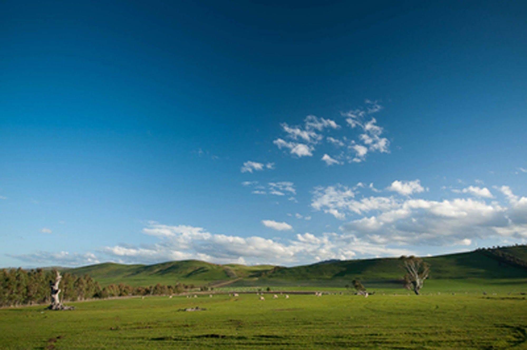 Curringa Farm Βίλα Meadowbank Εξωτερικό φωτογραφία